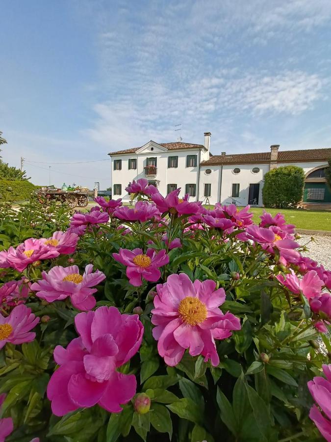 Agriturismo Villa Greggio Casalserugo Экстерьер фото
